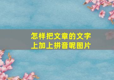 怎样把文章的文字上加上拼音呢图片