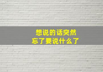 想说的话突然忘了要说什么了