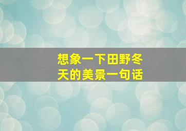 想象一下田野冬天的美景一句话