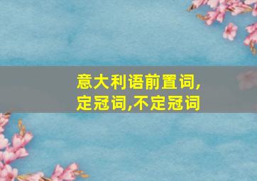 意大利语前置词,定冠词,不定冠词