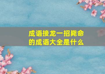 成语接龙一招毙命的成语大全是什么