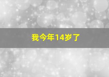 我今年14岁了