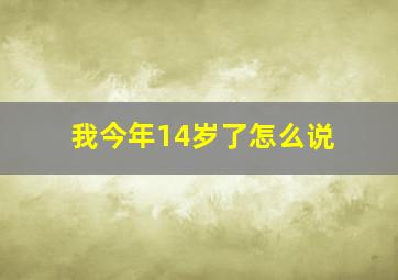 我今年14岁了怎么说