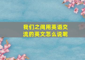 我们之间用英语交流的英文怎么说呢