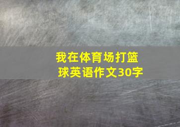 我在体育场打篮球英语作文30字