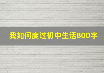 我如何度过初中生活800字