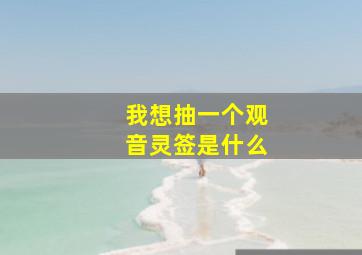 我想抽一个观音灵签是什么