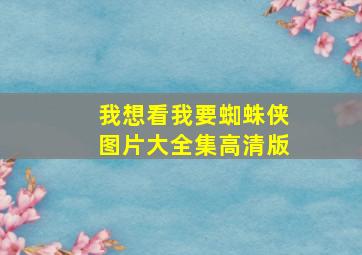 我想看我要蜘蛛侠图片大全集高清版