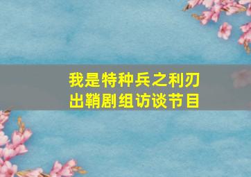 我是特种兵之利刃出鞘剧组访谈节目