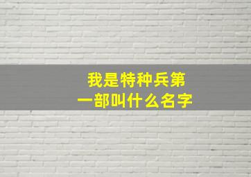 我是特种兵第一部叫什么名字