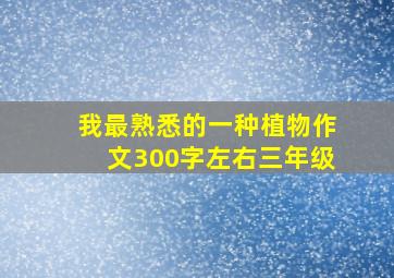 我最熟悉的一种植物作文300字左右三年级