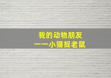 我的动物朋友一一小猫捉老鼠