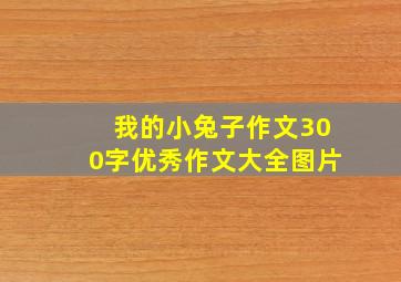 我的小兔子作文300字优秀作文大全图片