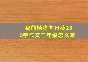 我的植物向日葵250字作文三年级怎么写