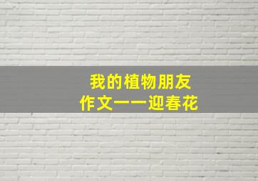 我的植物朋友作文一一迎春花