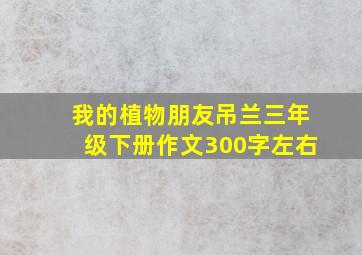 我的植物朋友吊兰三年级下册作文300字左右