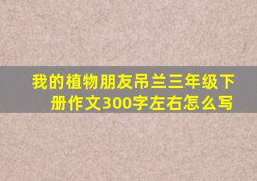 我的植物朋友吊兰三年级下册作文300字左右怎么写