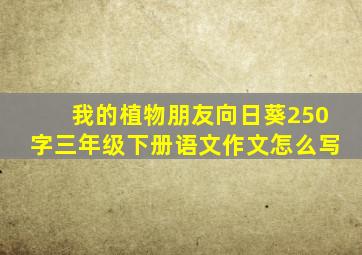 我的植物朋友向日葵250字三年级下册语文作文怎么写