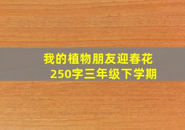 我的植物朋友迎春花250字三年级下学期