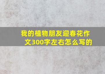 我的植物朋友迎春花作文300字左右怎么写的