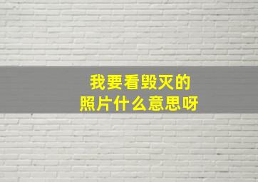 我要看毁灭的照片什么意思呀