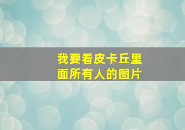 我要看皮卡丘里面所有人的图片