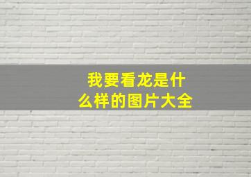 我要看龙是什么样的图片大全