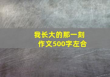 我长大的那一刻作文500字左合