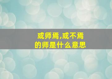 或师焉,或不焉的师是什么意思