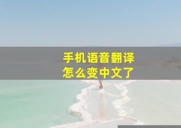 手机语音翻译怎么变中文了