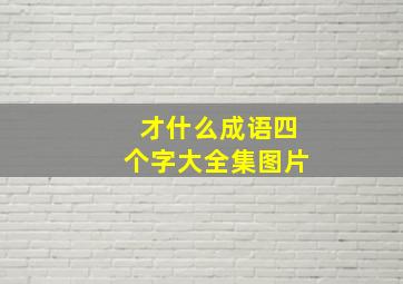 才什么成语四个字大全集图片