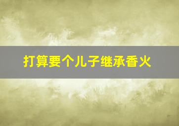 打算要个儿子继承香火