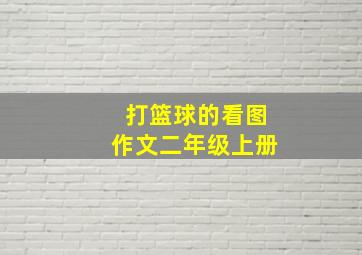 打篮球的看图作文二年级上册