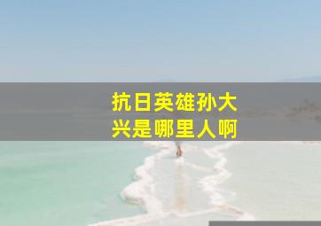 抗日英雄孙大兴是哪里人啊