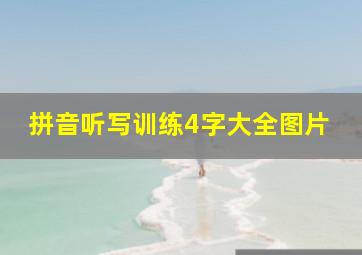 拼音听写训练4字大全图片