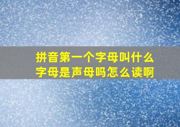 拼音第一个字母叫什么字母是声母吗怎么读啊