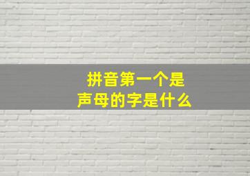 拼音第一个是声母的字是什么