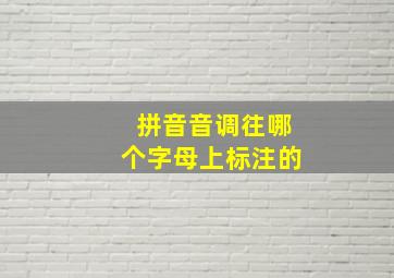 拼音音调往哪个字母上标注的