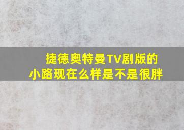 捷德奥特曼TV剧版的小路现在么样是不是很胖