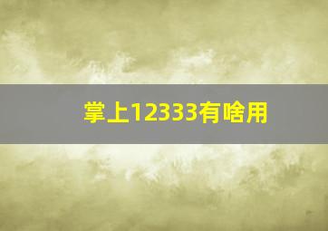 掌上12333有啥用