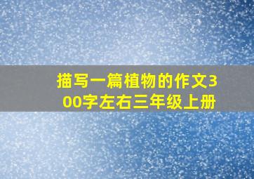 描写一篇植物的作文300字左右三年级上册