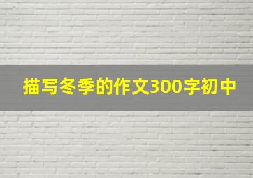 描写冬季的作文300字初中