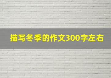 描写冬季的作文300字左右