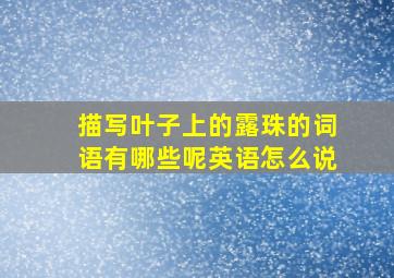 描写叶子上的露珠的词语有哪些呢英语怎么说