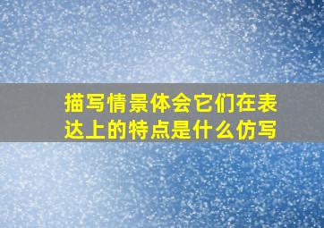 描写情景体会它们在表达上的特点是什么仿写