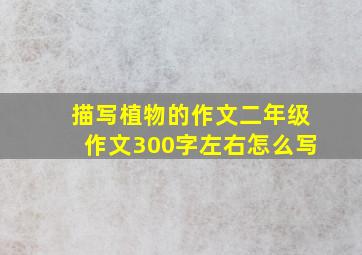 描写植物的作文二年级作文300字左右怎么写