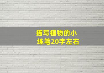 描写植物的小练笔20字左右