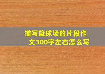 描写篮球场的片段作文300字左右怎么写