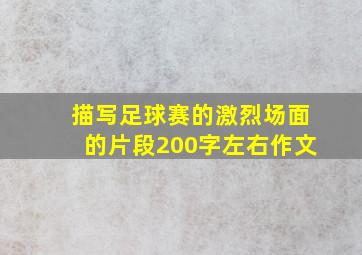 描写足球赛的激烈场面的片段200字左右作文