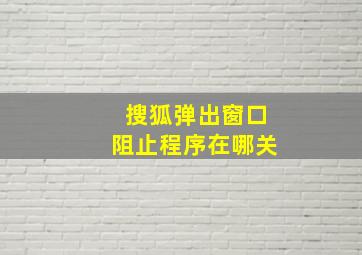 搜狐弹出窗口阻止程序在哪关